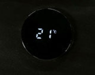 Digitales Thermometer